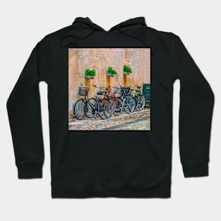 Bicycles Neatly Parked, Copenhagen Hoodie